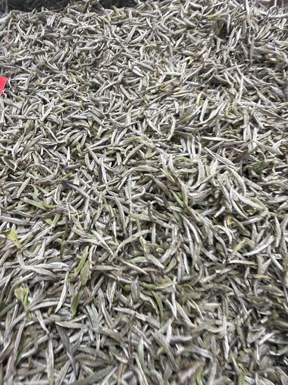 2026.10.15 Tea Expo